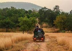 Panna Safari Tour